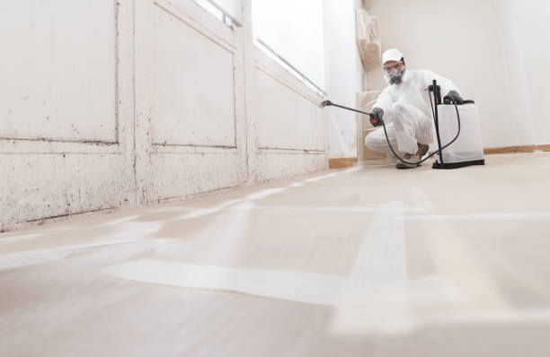 24/7 Emergency Mold Remediation experts in Waverly, MI